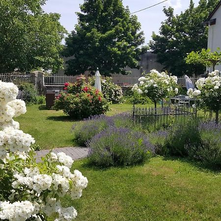 Ferienwohnung Altes Pfarrhaus Mit Flair Und Moselblick 布劳讷贝格 外观 照片